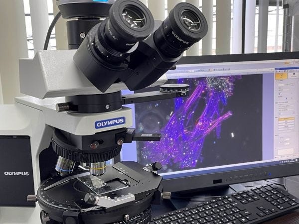 社外に向けてアスベスト分析サービスをご紹介していただきます。