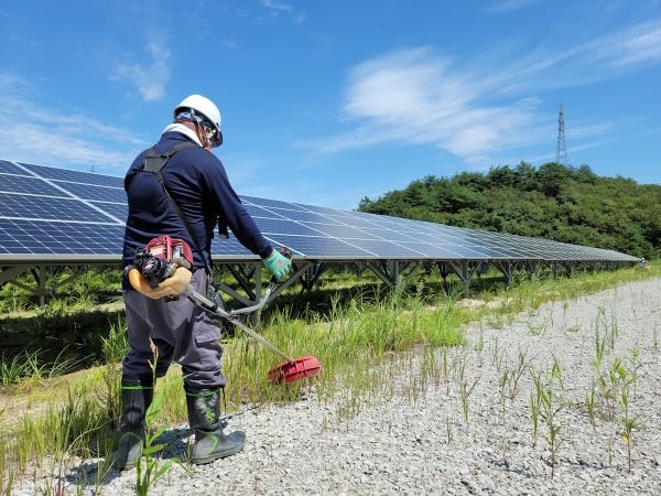 除草作業はアルバイト及び社員複数名で行います。わからないことはスタッフが丁寧に教えますのでご安心ください。