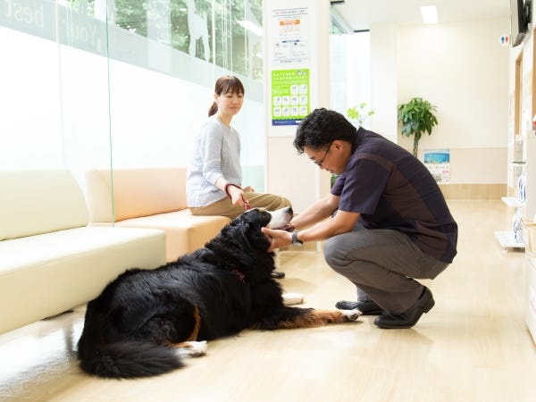 ペットにもペットオーナーにも、そして働く社員にもやさしい会社です。