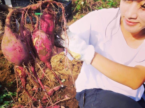 エリアマネージャー（未経験OK・交通費支給あり）