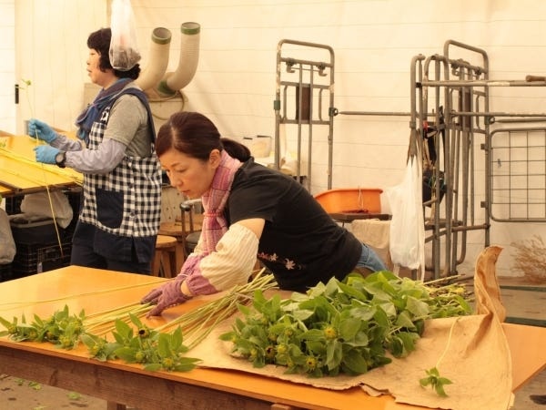 園芸農業の園芸農業軽（急な休みにも電話でOK・未経験OK）