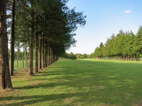 全長300ヤードの５番ホール。グリ－ン手前の両脇にバンカ－有り。★男性のドライバー使用可コースです★