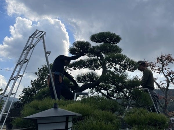 造園師（庭師の未経験歓迎・外構など経験者優遇）