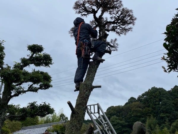 造園師（庭師の未経験歓迎・外構など経験者優遇）