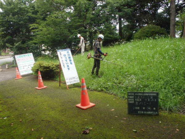 千葉市内の造園作業員募集！未経験者歓迎、自然と触れ合うお仕事