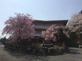 事業所の情報＿００１