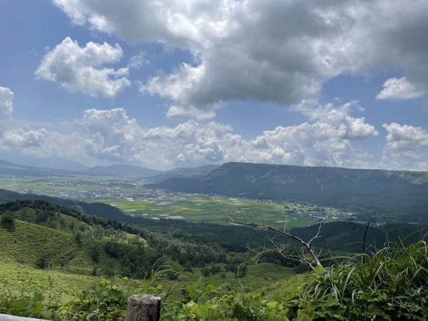 立ち上げフェーズの事業部で新しく仲間になってくれる方を募集中！