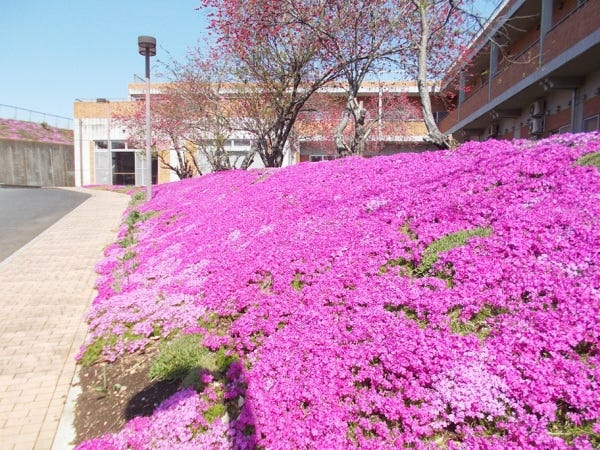 自然豊かな環境です。駐車場があるので、車通勤も可能です！