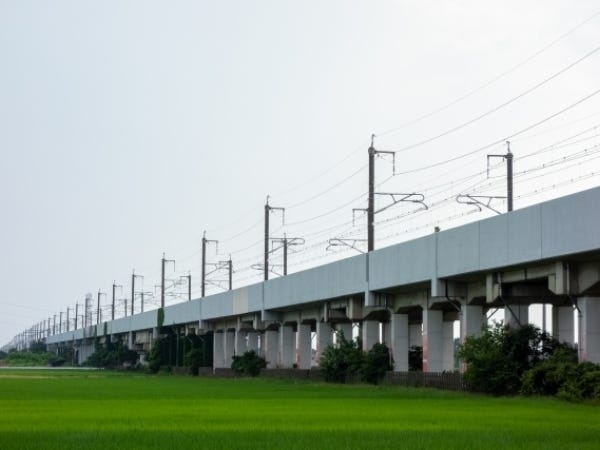 緑に映える橋脚