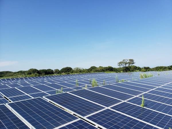 再生可能エネルギー　大規模太陽光発電所を千葉、町田、23区内に11区画所有　所有不動産や太陽光発電による収益により経営を安定化。