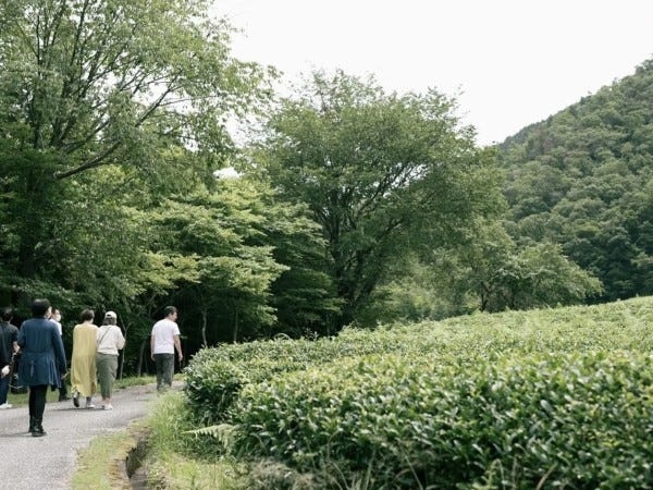 絶景ホテルでのレストランサービスのサービススタッフ（土日祝のみOK）