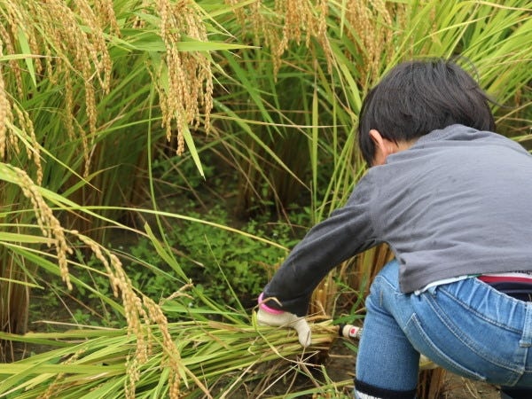 里山の地域資源を生かした。ワークショプも開催しています。