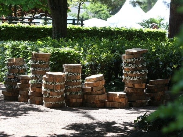 箱根のカフェスタッフ募集！接客好き歓迎、北欧空間で働く