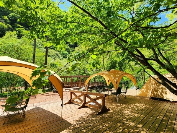 1万坪あるキャンブ場の一部です。