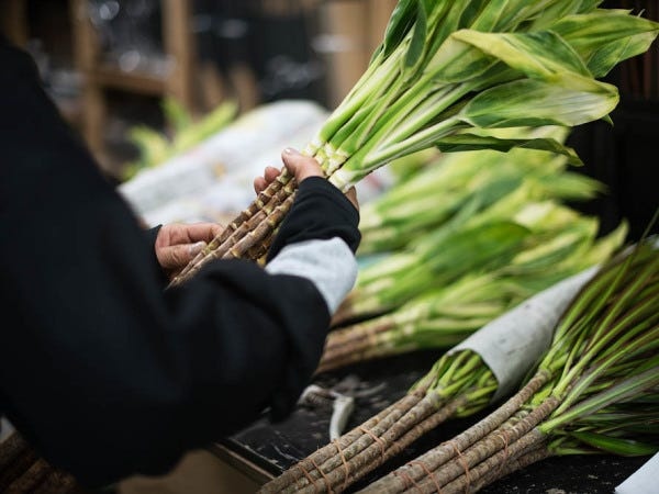 フラワーショップ店舗スタッフ