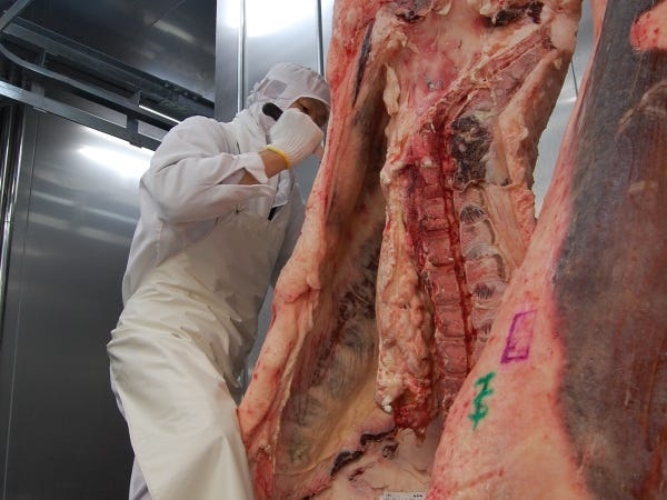 先輩社員の声：残業も少な目で、退勤後の時間を有効に活用できます。家族・ペットと過ごす時間も増えて、休日には趣味のスポーツも楽しんでいます。