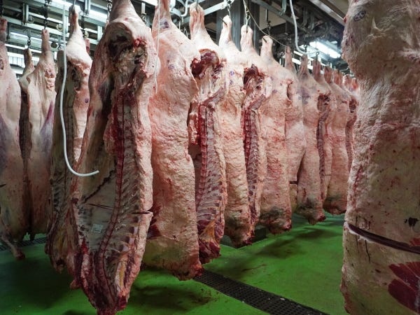 直近で入社された方には、飲食業界や広告会社など、異業種からの転職者も多く見られます。