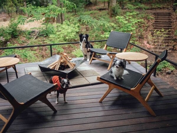 愛犬と一緒に楽しめる空間を一緒に作り上げます。