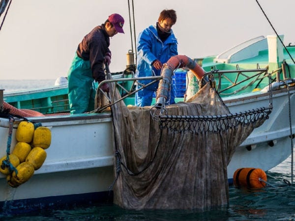 昼過ぎには操業を追えるため、一日の仕事が8時間以上になることは年間でもほとんどありません。※長時間労働の場合は残業手当を支給