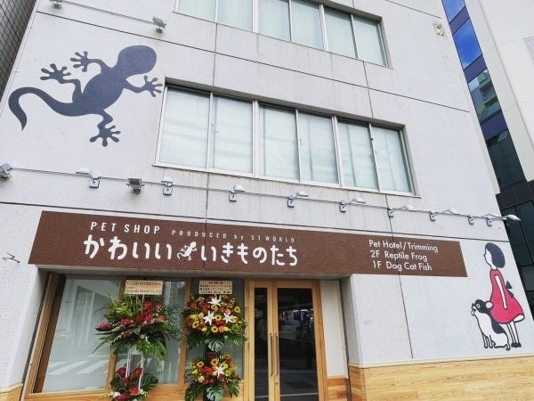勤務地は「ペットショップかわいいきものたち」内にあるオフィスです。