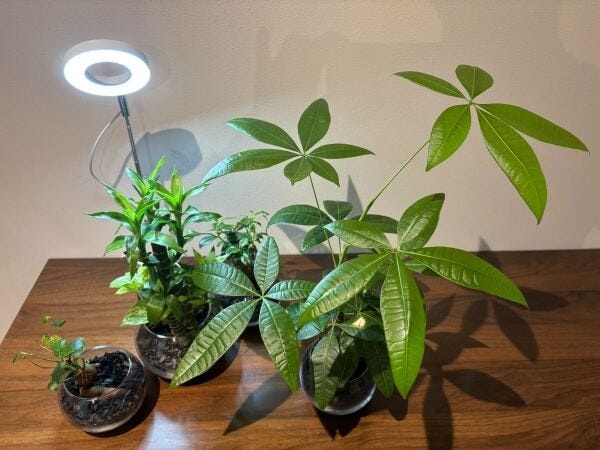 求人広告代理店・RPOの採用アシスタント