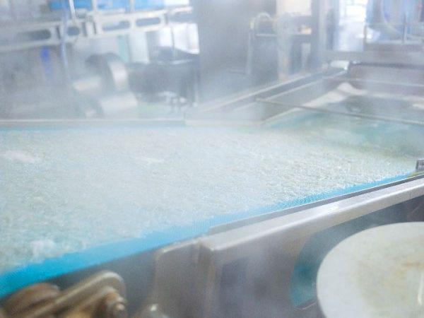 水揚げから釜揚げしらすになるまでわずか30分！漁場の近さと充実の設備により、このスピードを実現しています。