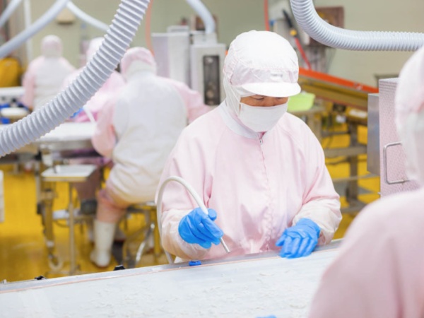 水産物加工の工場と言っても、取り扱っているのは稚魚ですので、匂いも気にならない程度です。