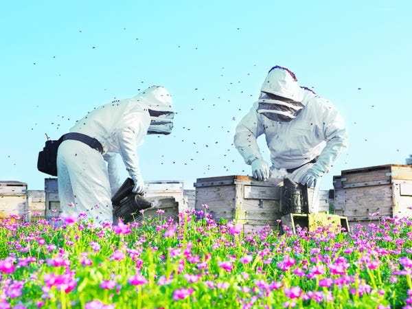 販売スタッフ・蜂蜜等の販売スタッフ