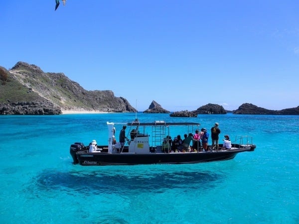 青くて透き通った海を前に心も豊かに過ごせます★海や生き物に知識がなくても少しずつ覚えていけば大丈夫です！