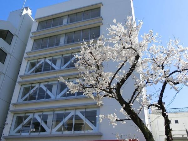 赤門会日本語学校本校の校舎の外観です。地上6階地下1階の建物です。