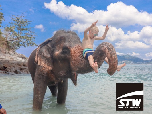 「なければ、つくる」がSTW流。わくわくする旅行の仕事、体験しませんか？