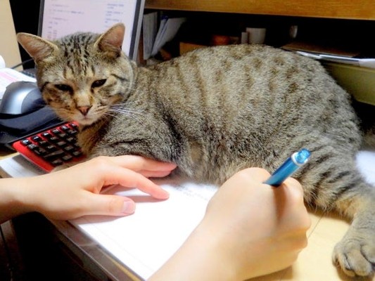 資格試験の費用は会社が負担いたします！何から始めたらいいか分からない方も、まずはご相談ください♪