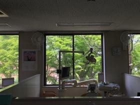 四季を感じる診察室です。患者さんのの会話もはずみます。