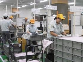 岩倉倉庫 詰替作業 職場風景