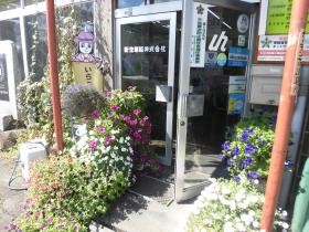 会社玄関 花がいっぱいです。