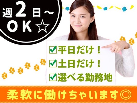 キャンペーンスタッフ・クレジットカードお申し込みの運営スタッフ(未経験歓迎)