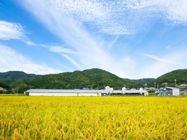生産管理・梱包軽