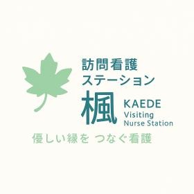 チーム楓メンバー