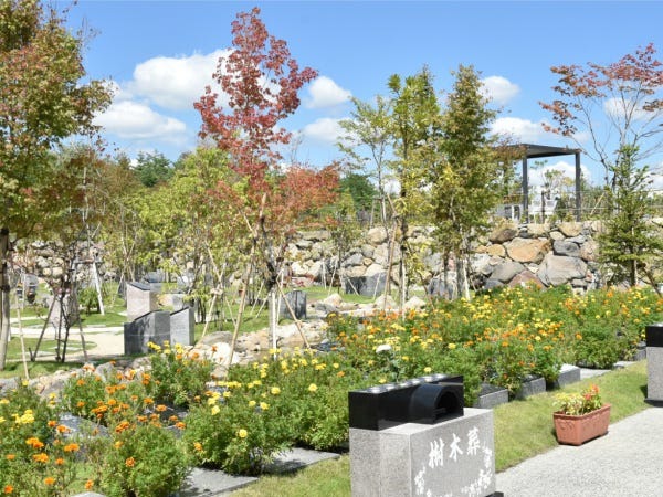 未経験でも活躍できます！