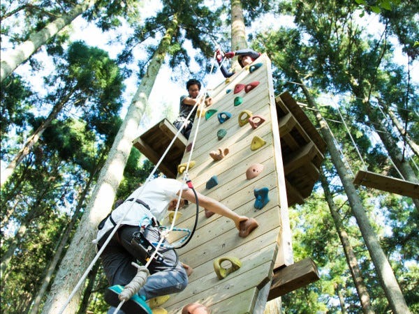 山の中にある本格的アスレチック！空中散歩やジップスライドが楽しめる！