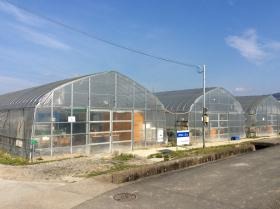 ビニールハウス