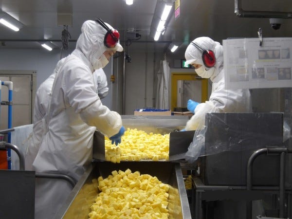 甘くておいしいパイナップルの選別中です。選別には人の目がかかせません。コンビニやスーパーなどお客様の規格に合わせて小分け包装します。