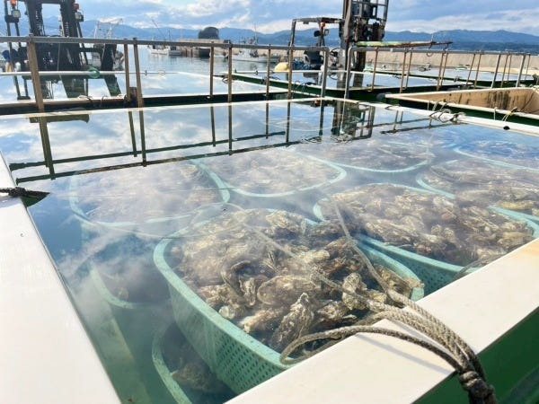 営業事務・環境認証審査員