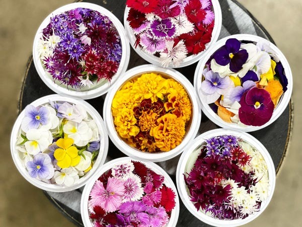 販売スタッフ(野菜ソムリエがいる野菜とフルーツのセレクトショップ未経験OK・交通費支給あり)