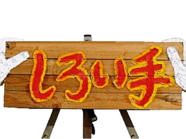 スムーズなタイピング・企業のAmazonFBA納品作業の運営スタッフ・倉庫管理・軽（未経験歓迎・要普通自動車運転免許）