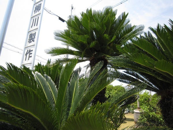 事業承継に向け、組織体制の強化中