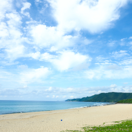 見渡す限りの大自然に囲まれた奄美大島龍郷地区。仕事のやりがいだけでなく、島での暮らしも魅力です。