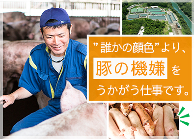 Job from https://doda.jp/DodaFront/View/JobSearchDetail/j_jid__3012981980/
