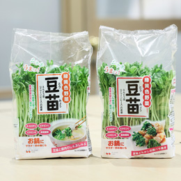 当社は、「豆苗」など高成分野菜の開発を手がけている施設野菜メーカーのリーディングカンパニーです！