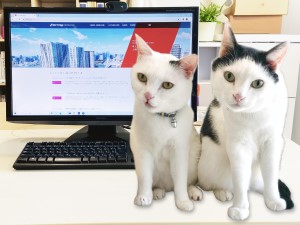 Job from https://doda.jp/DodaFront/View/JobSearchDetail/j_jid__3012974892/